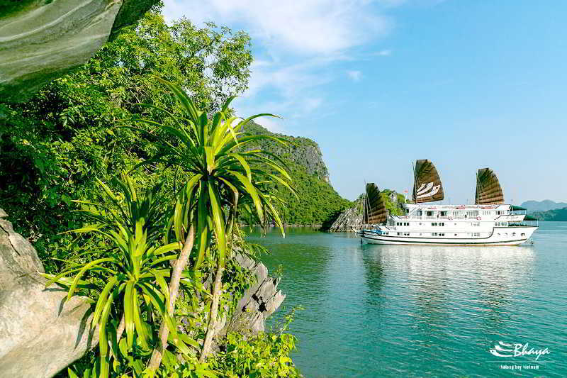 Bhaya Classic Cruises Ha Long Eksteriør billede